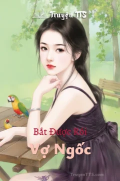 Bìa truyện Bắt Được Rồi, Vợ Ngốc với hình ảnh hai nhân vật chính đối lập.