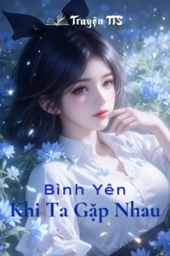 Bìa truyện Bình Yên Khi Ta Gặp Nhau