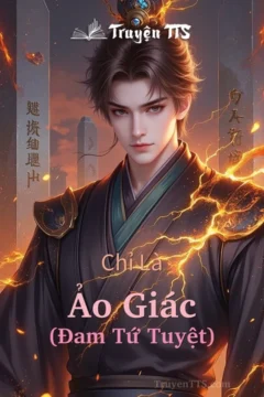 Bìa truyện Chỉ Là Ảo Giác (Đam Tứ Tuyệt)