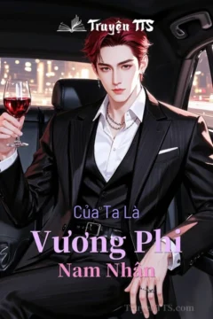 Bìa truyện Vương Phi Của Ta Là Nam Nhân