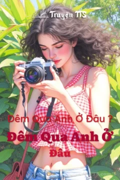 Bìa sách "Đêm Qua Anh Ở Đâu" của Lauren Weisberger