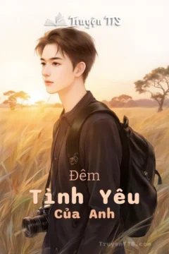 Bìa truyện Đêm Tình Yêu của Diana Palmer