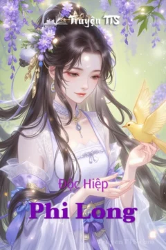 Bìa truyện Phi Long của tác giả Hoa Mãn Thiên