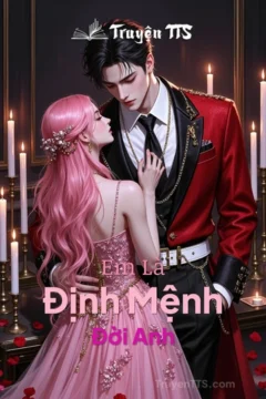 Bìa truyện Em Là Định Mệnh Đời Anh