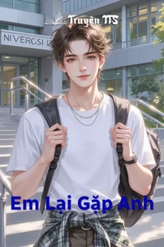 Bìa truyện Em Lại Gặp Anh