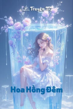 Bìa truyện Hoa Hồng Đêm với hình ảnh lãng mạn, tượng trưng cho tình yêu và sự cô đơn.