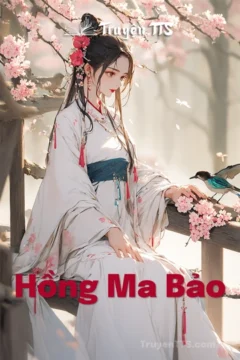 Bìa truyện Hồng Ma Bảo với hình ảnh nhân vật chính Sầm Phong và các tình tiết võ lâm.
