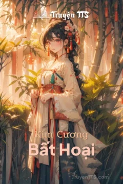 Bìa truyện Kim Cương Bất Hoại