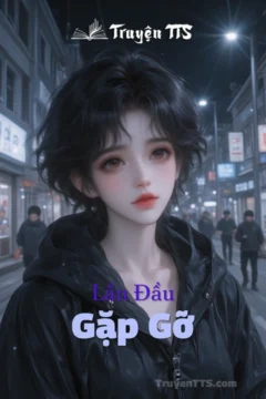Bìa truyện Lần Đầu Gặp Gỡ với hình ảnh lãng mạn.
