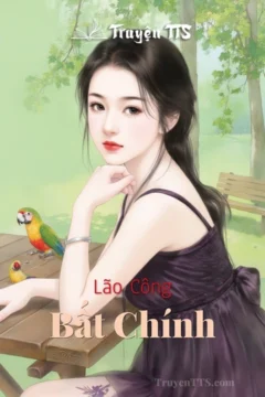 Bìa truyện Lão Công Bất Chính với hình ảnh cặp đôi hiện đại.