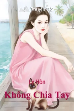 Bìa truyện Ly Hôn Không Chia Tay