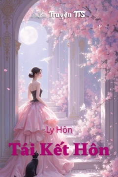 Bìa truyện Ly Hôn Tái Kết Hôn