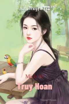 Bìa truyện Truy Hoan với hình ảnh hai nhân vật chính đối lập nhau.