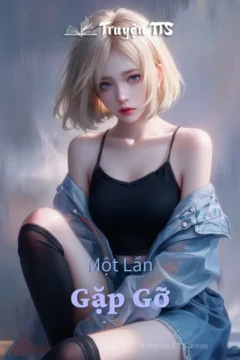 Bìa truyện Một Lần Gặp Gỡ với hình ảnh lãng mạn