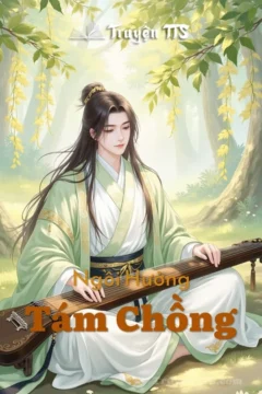 Bìa truyện Tám Chồng với hình ảnh nữ chính xuyên không và tám vị phu quân.