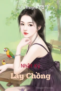 Bìa truyện Nhật Ký Lấy Chồng