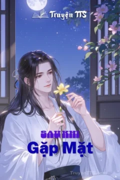 Bìa truyện "Sau Khi Gặp Mặt" với hình ảnh lãng mạn của cặp đôi chính.