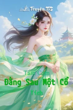 Bìa truyện Tấm Cám Đằng Sau Một Cổ Tích