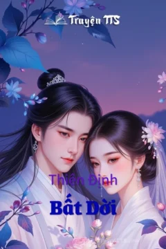 Bìa truyện Thiên Định Bất Dời