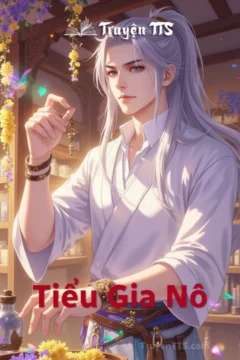 Bìa truyện Tiểu Gia Nô với hình ảnh cô gái trẻ trong trang phục cổ đại.