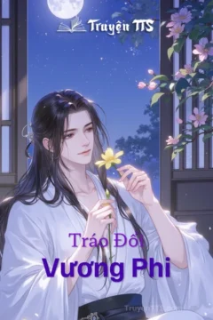 Bìa truyện Vương Phi với hình ảnh hai nhân vật chính