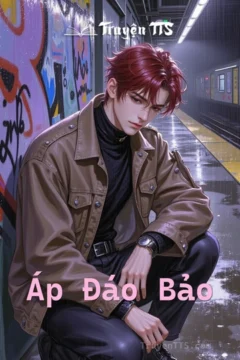 Bìa truyện Áp Đáo Bảo