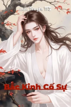 Ảnh bìa truyện Bắc Kinh Cố Sự, thể loại đam mỹ hiện đại đô thị BE.