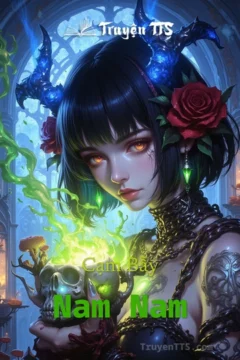 Bìa truyện Cạm Bẫy Nam Nam, thể loại Đam Mỹ, Đô Thị, Võng Du