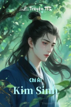 Bìa truyện Chí Ái Kim Sinh với hình ảnh hai nhân vật thiên tài cờ vây