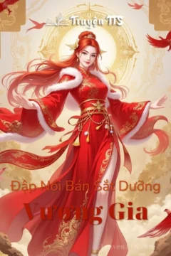 Bìa truyện Đập Nồi Bán Sắt Dưỡng Vương Gia