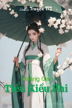 Hoàng Gia Tiểu Kiều Phi - Tiểu thuyết xuyên không về hậu cung cổ đại