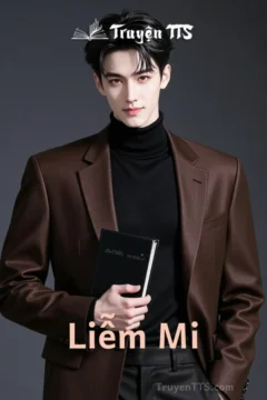 Ảnh bìa truyện Liễm Mi, thể loại đam mỹ cổ trang giang hồ