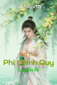 Ảnh bìa truyện đam mỹ Phi Chính Quy Luyến Ái, thể loại mau xuyên, tổng công hài hước