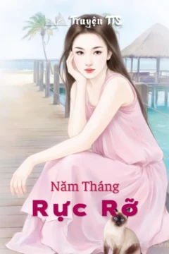 Bìa truyện Năm Tháng Rực Rỡ