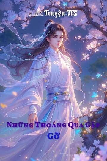 Những Thoáng Qua Gặp Gỡ