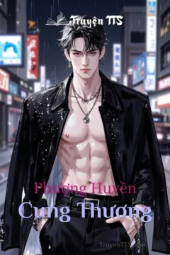 Bìa truyện Phượng Huyền Cung Thương