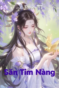 Bìa truyện Săn Tim Nàng với hình ảnh nhân vật nữ tài sắc trong trang phục cổ đại.
