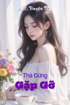 Bìa truyện Thà Đừng Gặp Gỡ với hình ảnh hai nhân vật chính Lệ Cảnh Trình và Vinh Thiển.