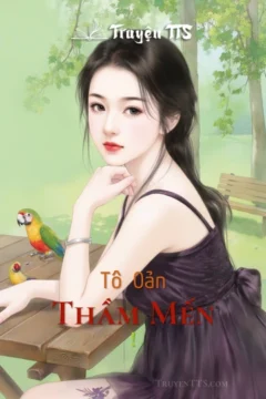 Bìa truyện Tô Oản Thầm Mến ! với hình ảnh nhân vật nữ nhẹ nhàng, thể hiện tình yêu thầm mến.