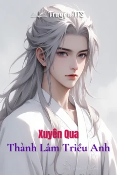 Bìa truyện Xuyên Qua Thành Lâm Triều Anh